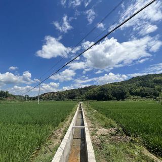 水茜鎮(zhèn)水茜溪生態(tài)廊道可持續(xù)發(fā)展建設項目